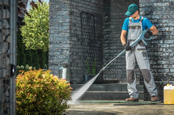 Best Driveway Pressure Washing  in San Juan, TX