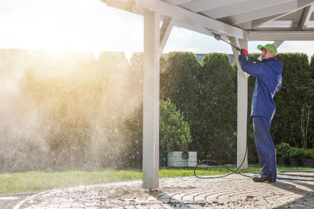 Best Sidewalk and Walkway Cleaning  in San Juan, TX